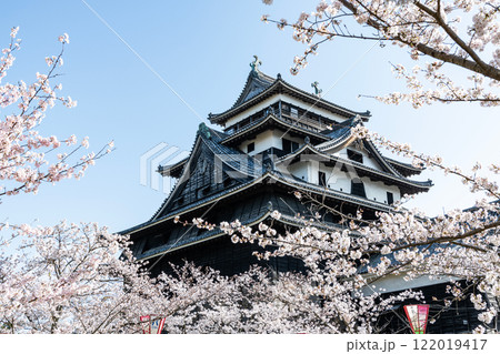 島根県松江市 満開の桜と国宝松江城天守 島根県松江市 満開の桜と国宝松江城天守 122019417
