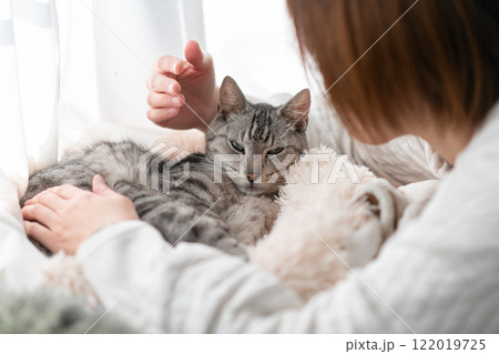 猫を撫でる飼い主　サバトラ猫 122019725