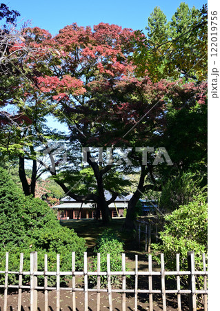 戸定邸（徳川昭武邸）、千葉県松戸市、秋 122019756