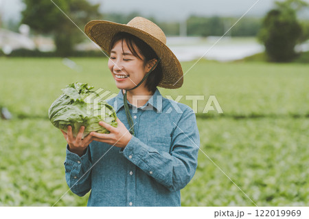 レタス農家 122019969