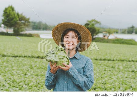 レタス農家 レタス農家 122019974