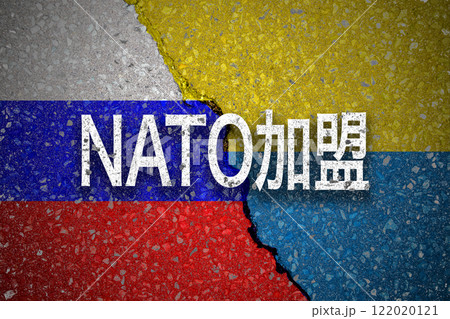 ロシア　ウクライナ侵攻　NATO加盟 122020121