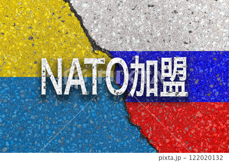 ロシア　ウクライナ侵攻　NATO加盟 122020132