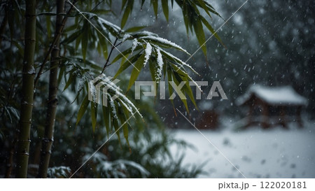 Experience the serene snowfall that delicately blankets the bamboo in a beautiful winter landscape 122020181