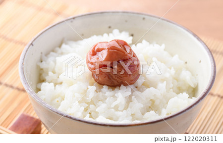 ご飯にのせた梅干し 紀州南高梅  122020311