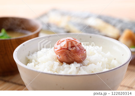 ご飯にのせた梅干し 紀州南高梅  122020314