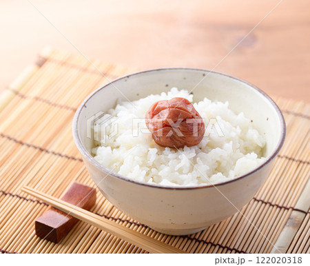 ご飯にのせた梅干し 紀州南高梅 ご飯にのせた梅干し 紀州南高梅 122020318