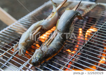 キャンプ飯～鮎の塩焼き～ 122020329