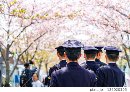 【神奈川県】鎌倉の桜並木を歩く制服の後姿 【神奈川県】鎌倉の桜並木を歩く制服の後姿 122020396