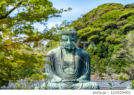 【神奈川県】新緑に囲まれた鎌倉の大仏 【神奈川県】新緑に囲まれた鎌倉の大仏 122020402