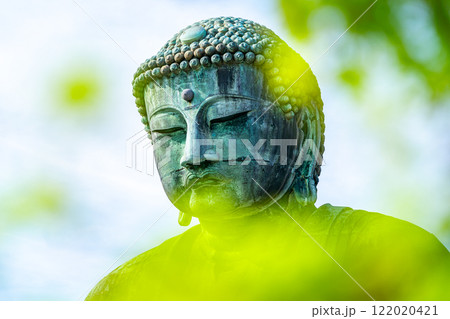 【神奈川県】新緑越しに見える鎌倉の大仏 122020421