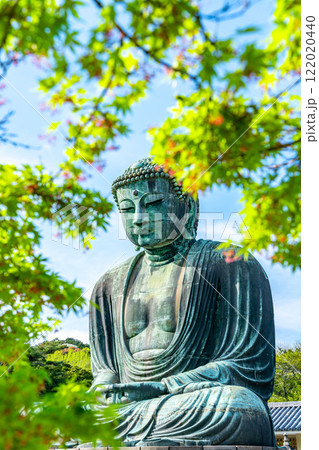【神奈川県】新緑に囲まれた鎌倉の大仏 【神奈川県】新緑に囲まれた鎌倉の大仏 122020440