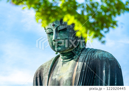 【神奈川県】新緑越しに見える鎌倉の大仏 【神奈川県】新緑越しに見える鎌倉の大仏 122020445