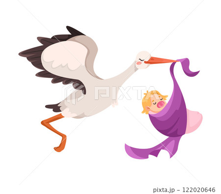 Stork Carry Baby in Wrap with Beak Vector Illustration Stork Carry Baby in Wrap with Beak Vector Illustration 122020646