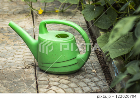 Watering can on the garden path 122020704