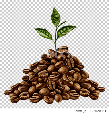 A pile of coffee beans. A sprout of a coffee tree grows from them. Coffee beans are brown. The sprout is not big, green with leaves. Watercolor illustration.  122020961