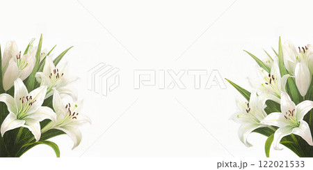背景素材：白い百合のシンプルなバックグラウンド 122021533