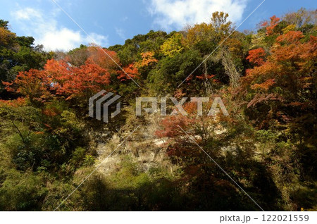 養老渓谷の紅葉 養老渓谷の紅葉 122021559