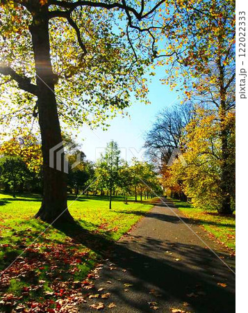 秋の晴れた日、公園の散歩道 秋の晴れた日、公園の散歩道 122022333