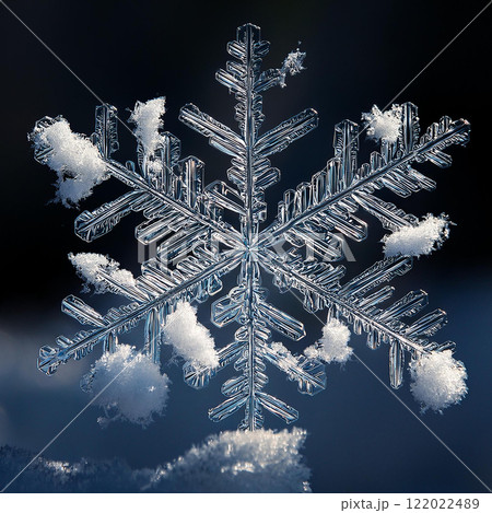 雪の結晶3 雪の結晶3 122022489