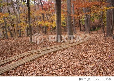 秋の日光市龍王峡 落ち葉に囲まれた青龍峡のハイキングコース 秋の日光市龍王峡 落ち葉に囲まれた青龍峡のハイキングコース 122022490
