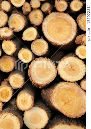 Abstract background with a wooden cut of logs stacked on top of each other. Vertical photo. 122022814