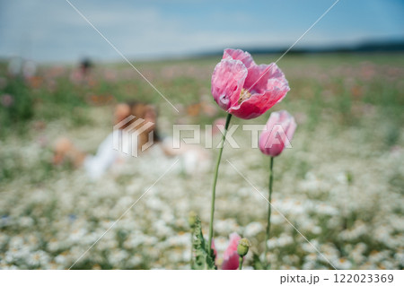 A single pink poppy stands in sharp focus against a blurred background of a vibrant poppy field. 122023369