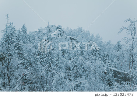 Rock on winter forest on a cold day 122023478