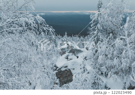 Snowy coniferous forest and mountains on a cold day Snowy coniferous forest and mountains on a cold day 122023490