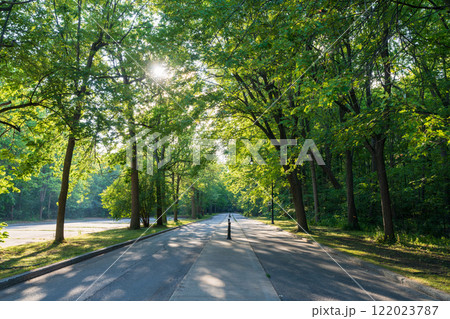 Angrignon Park walking trail in summer time. Montreal, Quebec, Canada. 122023787