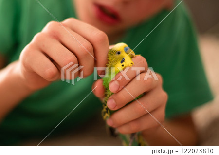 A child gently holds two small, green and yellow birds. A child gently holds two small, green and yellow birds. 122023810