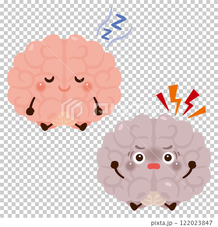 良好的睡眠大腦和失眠大腦特徵 122023847