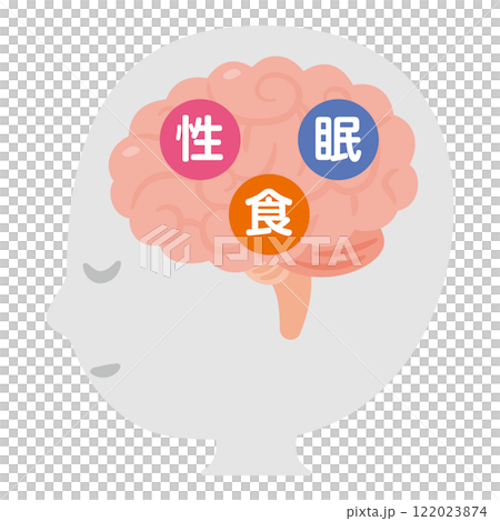 Three basic desires, the brain, and a simple figure profile illustration 122023874