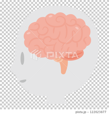 脳とシンプルな人物の横顔イラスト 122023877