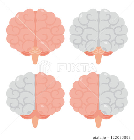 右脳と左脳のイラスト　前視点 122023892