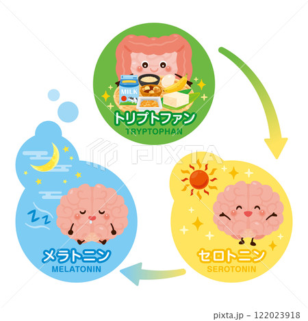 脳と腸のキャラクターと良質な睡眠サイクルのイラスト 122023918