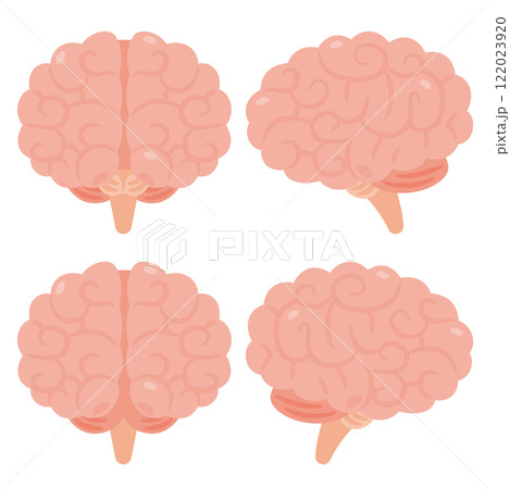 健康でキレイな脳のイラストセット 健康でキレイな脳のイラストセット 122023920