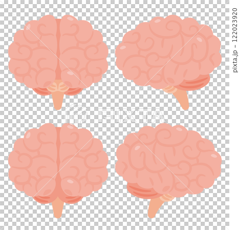 Healthy and beautiful brain illustration set 122023920