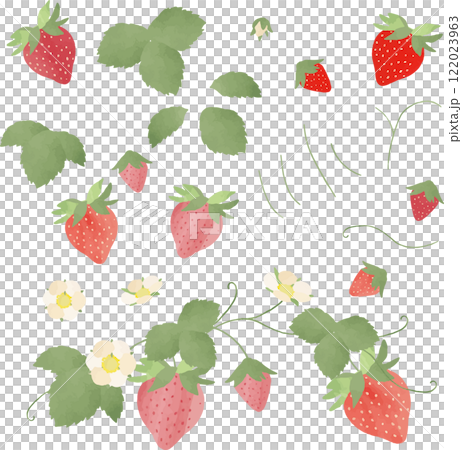 水彩畫草莓的插圖 122023963