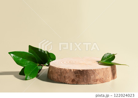 Wood podium platform with green leaves Wood podium platform with green leaves 122024023