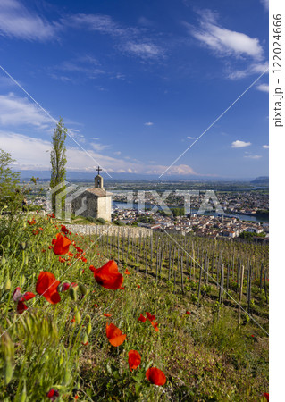 Grand cru vineyard and Chapel of Saint Christopher, Tain l'Hermitage, Rhone-Alpes, France 122024666