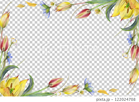 Spring flowers, white forest anemone primrose, blue hepatica forget-me-not, yellow and red tulip, grass, hand drawn in watercolor. Border frame illustration, for wedding, florist shop, stationery. Spring flowers, white forest anemone primrose, blue hepatica forget-me-not, yellow and red tulip, grass, hand drawn in watercolor. Border frame illustration, for wedding, florist shop, stationery. 122024708