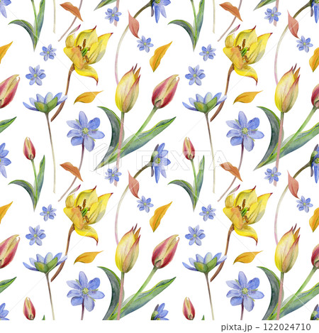 Spring flowers, grass, white forest anemone primrose, blue hepatica forget-me-not, yellow and red tulip, hand drawn in watercolor. Seamless pattern illustration, for wedding, florist shop, stationery. 122024710