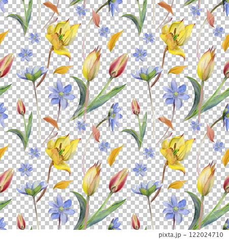 Spring flowers, grass, white forest anemone primrose, blue hepatica forget-me-not, yellow and red tulip, hand drawn in watercolor. Seamless pattern illustration, for wedding, florist shop, stationery. 122024710