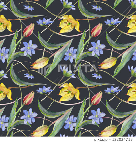 Spring flowers, white forest anemone primrose, blue hepatica forget-me-not, yellow and red tulip, grass, hand drawn in watercolor. Seamless pattern illustration, for wedding, florist shop, stationery. 122024715