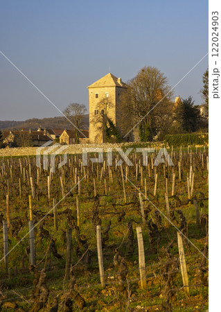Chateau de Gevrey-Chambertin (castle), Burgundy, France 122024903