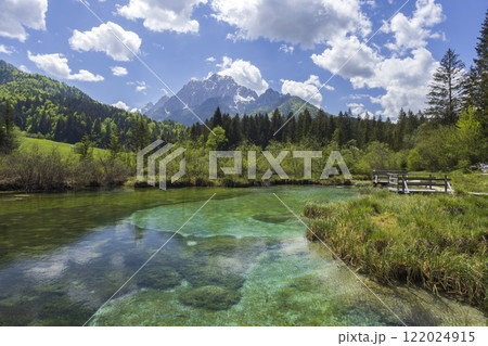 Spring landscape in Zelenci, Slovenia 122024915