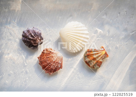 Beautiful seashells arrangement underwater. Beautiful seashells arrangement underwater. 122025519