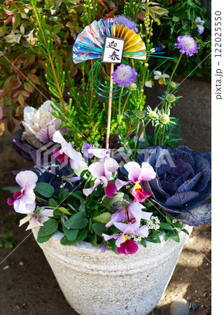迎春の飾りが有る鉢植えの花 122025550