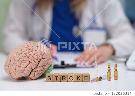 Understanding Stroke Important Medical Insights in Relation to Brain Anatomy and Structure Understanding Stroke Important Medical Insights in Relation to Brain Anatomy and Structure 122026314